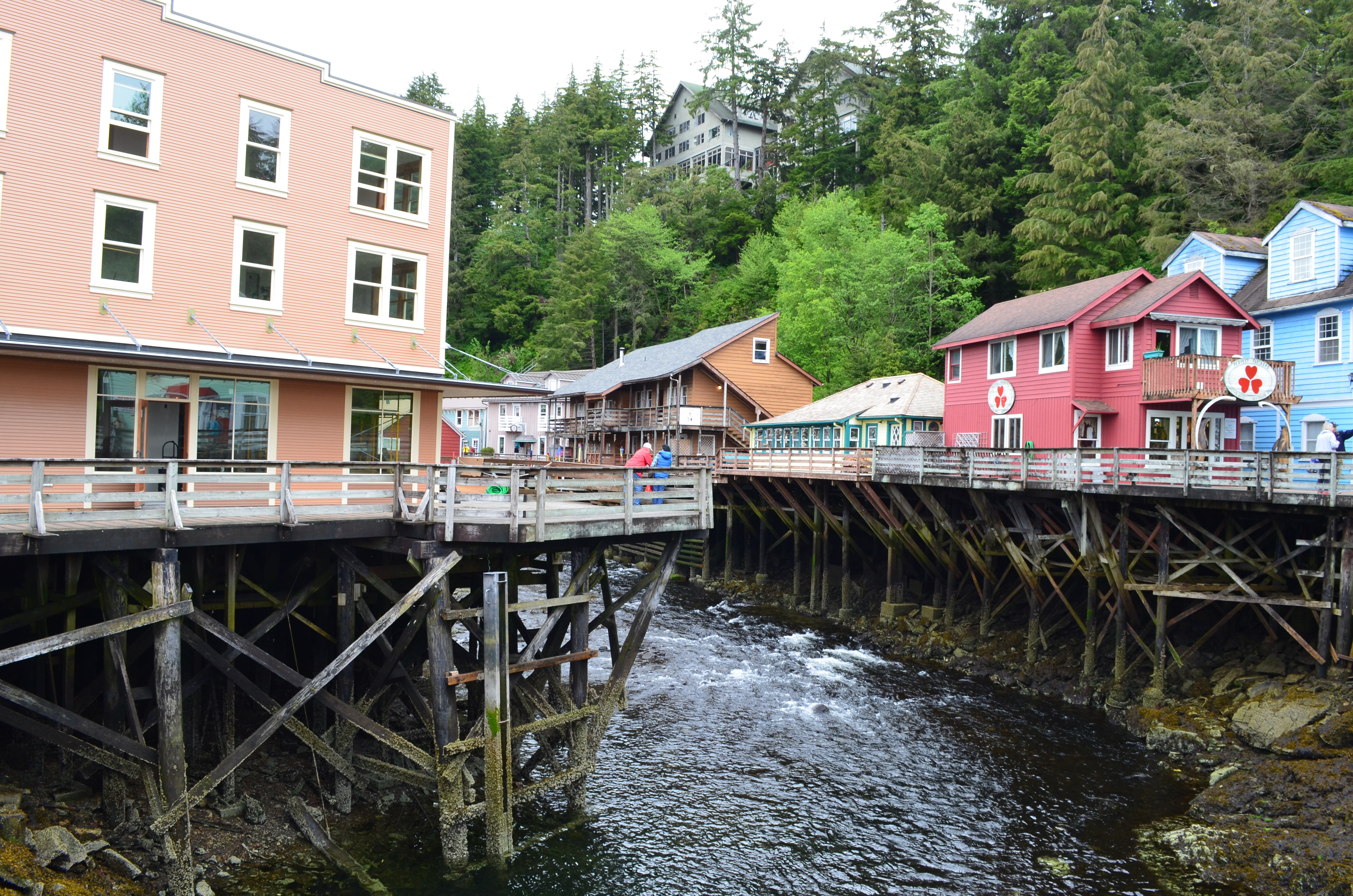 ./2017/08 - Alaska Cruise/11 - Ketchikan/DSC_0450.JPG